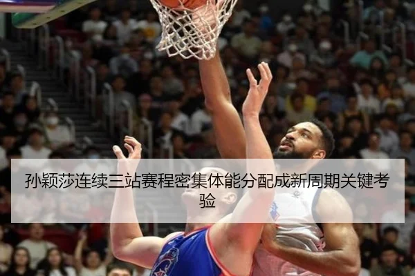 孙颖莎连续三站赛程密集体能分配成新周期关键考验